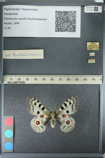 Media type: image;   Entomology 175332